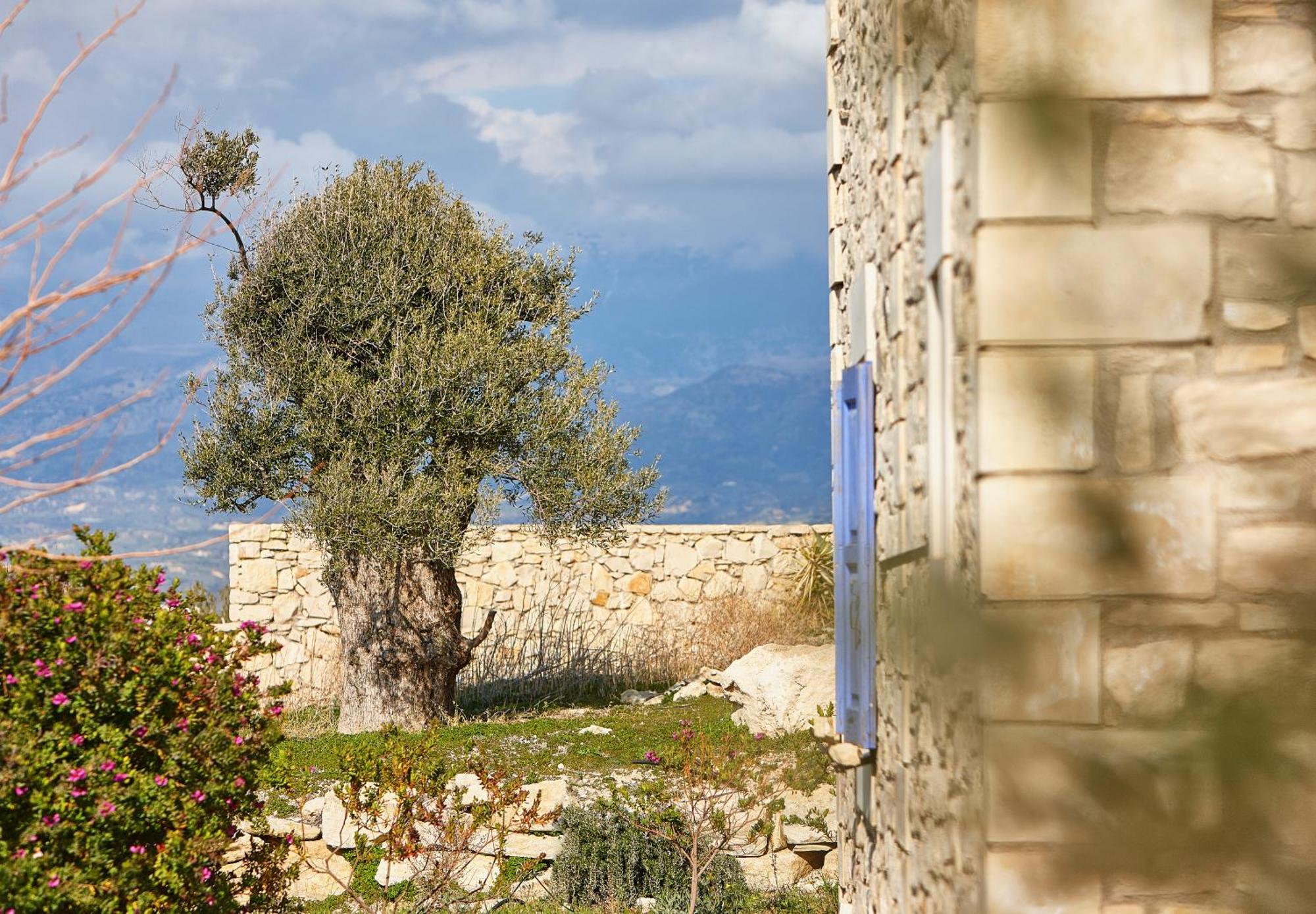 קמילרי Orelia Cretan Deluxe Apartments מראה חיצוני תמונה