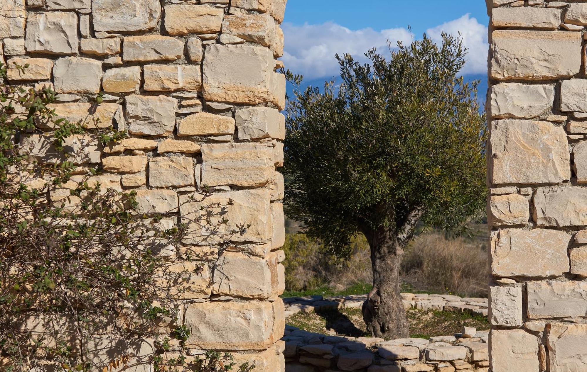 קמילרי Orelia Cretan Deluxe Apartments מראה חיצוני תמונה